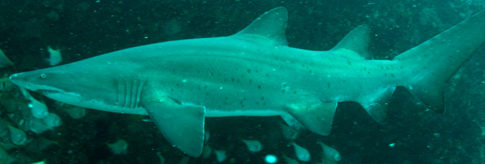 8ea85286-2044-485e-bfca-60350e22a76f