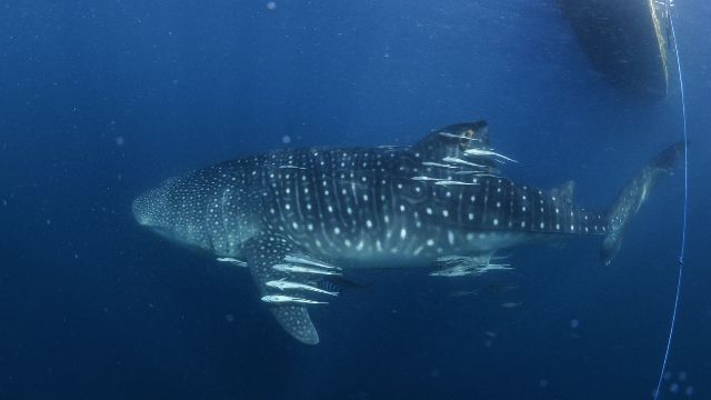 8b38c424-f944-4ba7-b216-aa7900a24c07