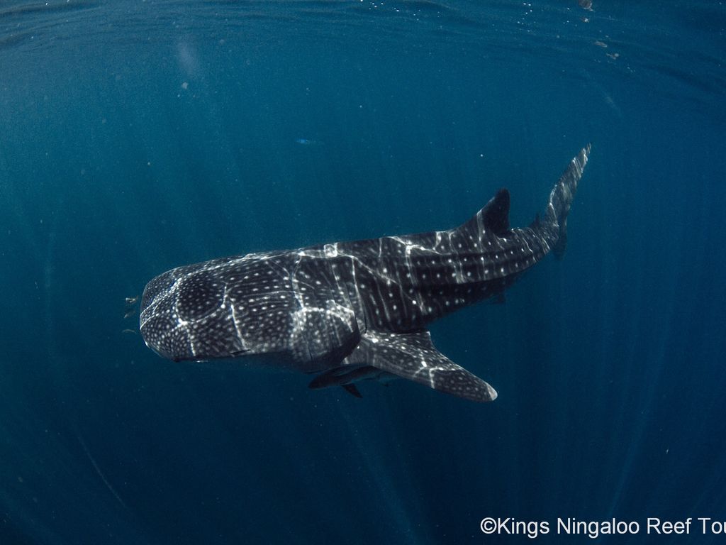 30b25556-7f89-47ae-b914-de60623b7aa6