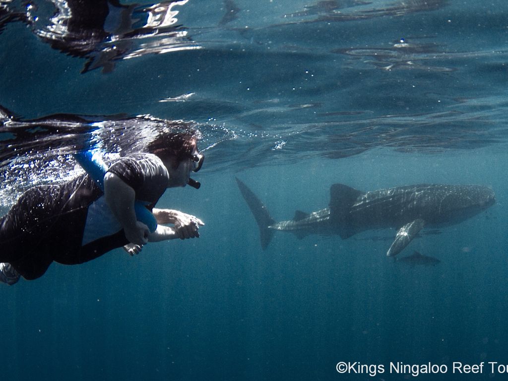 30b25556-7f89-47ae-b914-de60623b7aa6