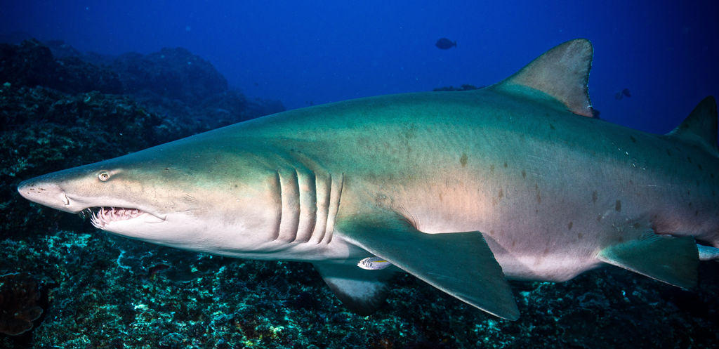 a9e9fa57-b0cb-444e-8cf5-ecf2aafdb77e