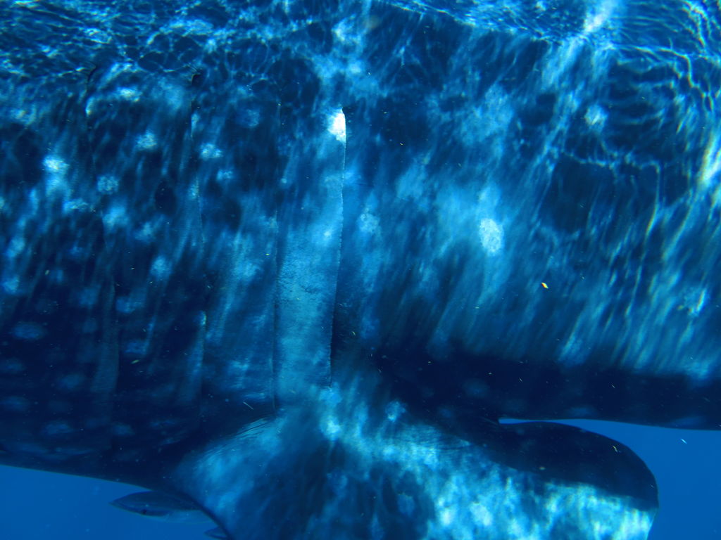 d285c659-63a2-424e-95cf-5e5e3bed6051