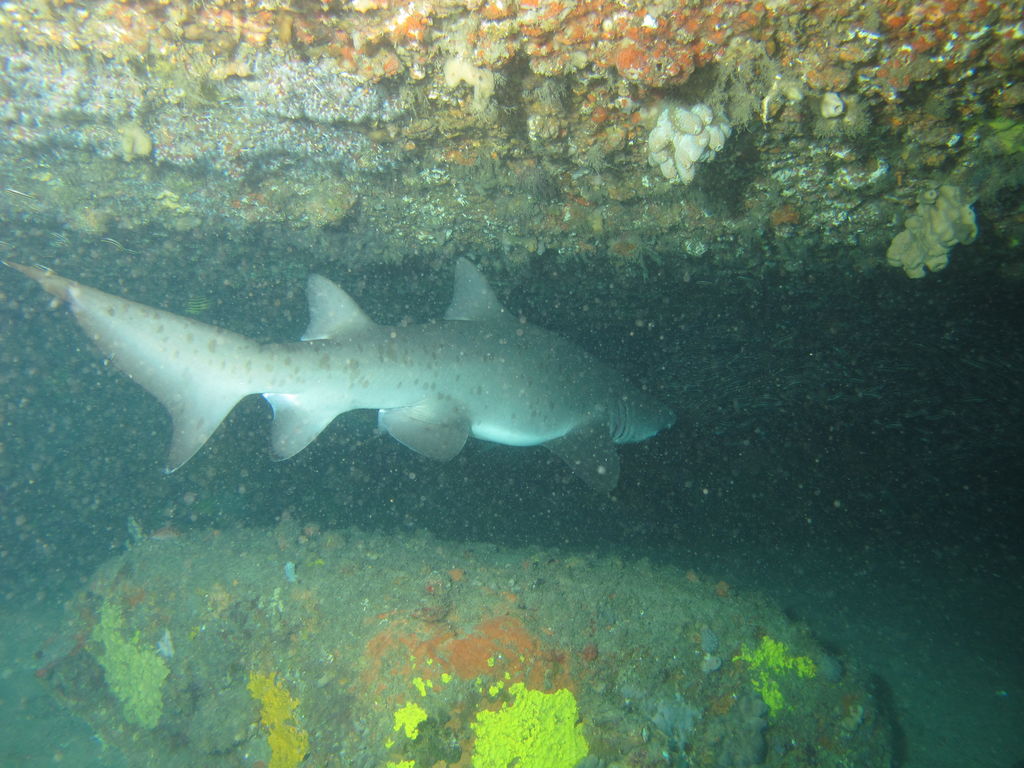 185ba8c4-88d3-416b-9648-81876c3a6bb7