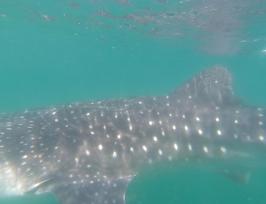 d57df192-d1e4-4a82-a11e-c77b026a4295