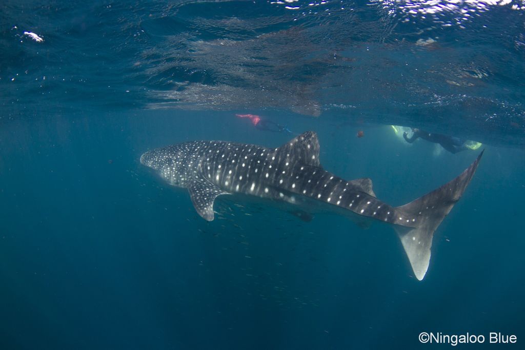 170a8242-e8eb-47d0-b10c-95a70c2ccb54