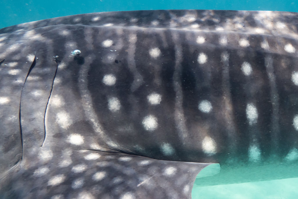 a16d984d-f308-4135-999e-5cbbdee74499