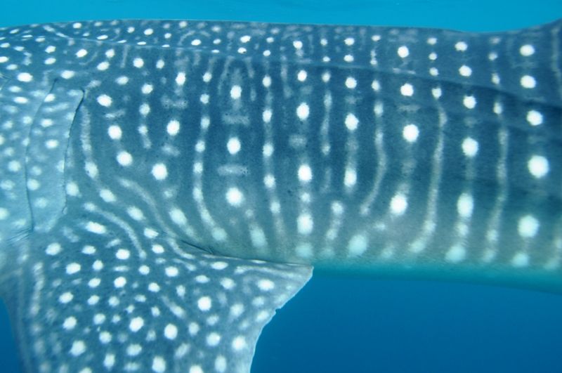 b2ddcebe-79ac-4cc0-bc53-1e7a94093db8