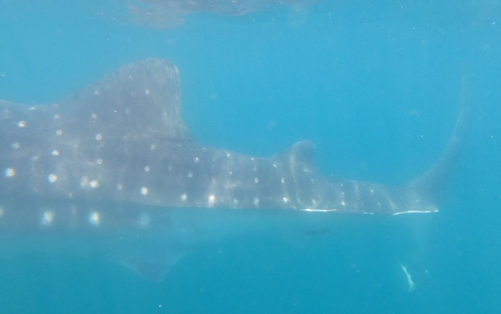 d3d776b9-703a-4f4f-b785-cc2209f714ed