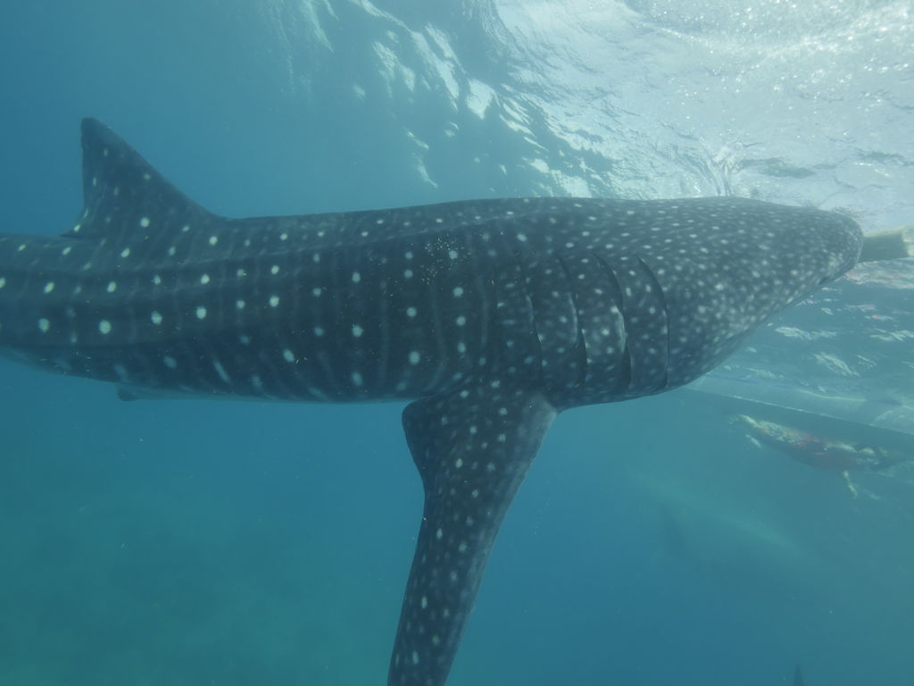 5a57ae01-a63a-42d8-a574-789c44d0c59a