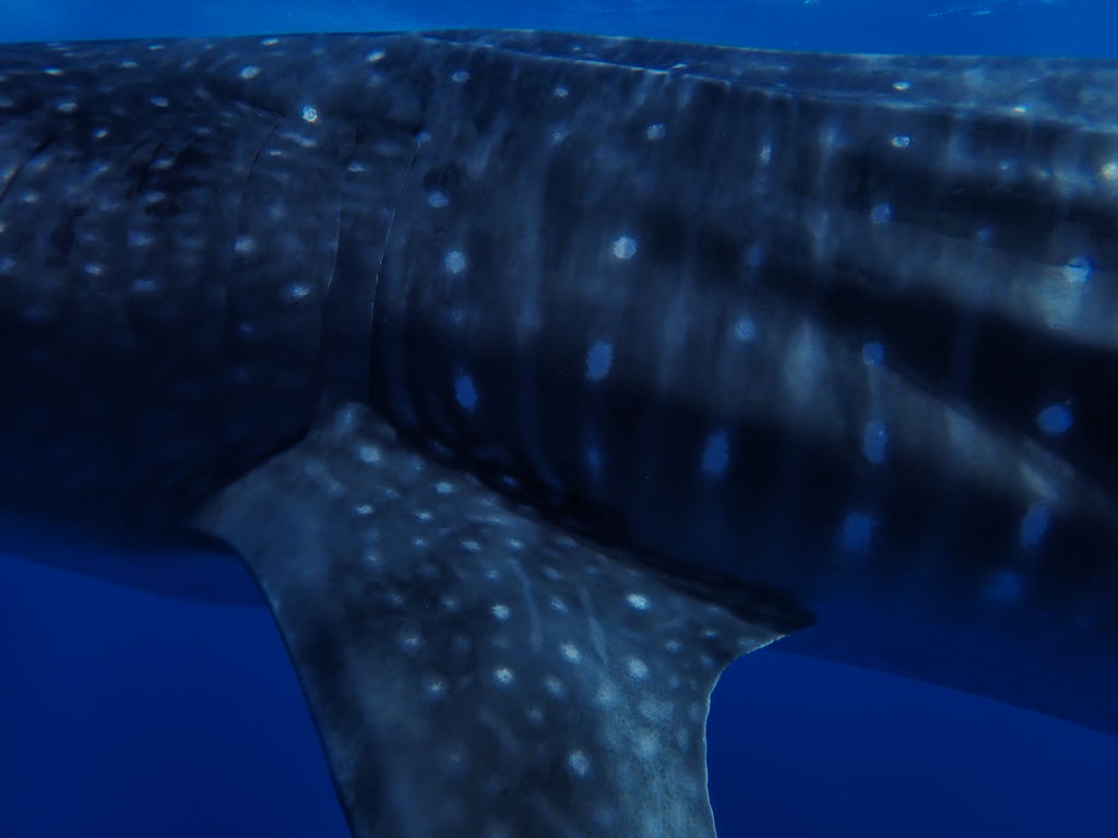 8e944a50-f3a0-471b-8e94-5af1e34d8dc3