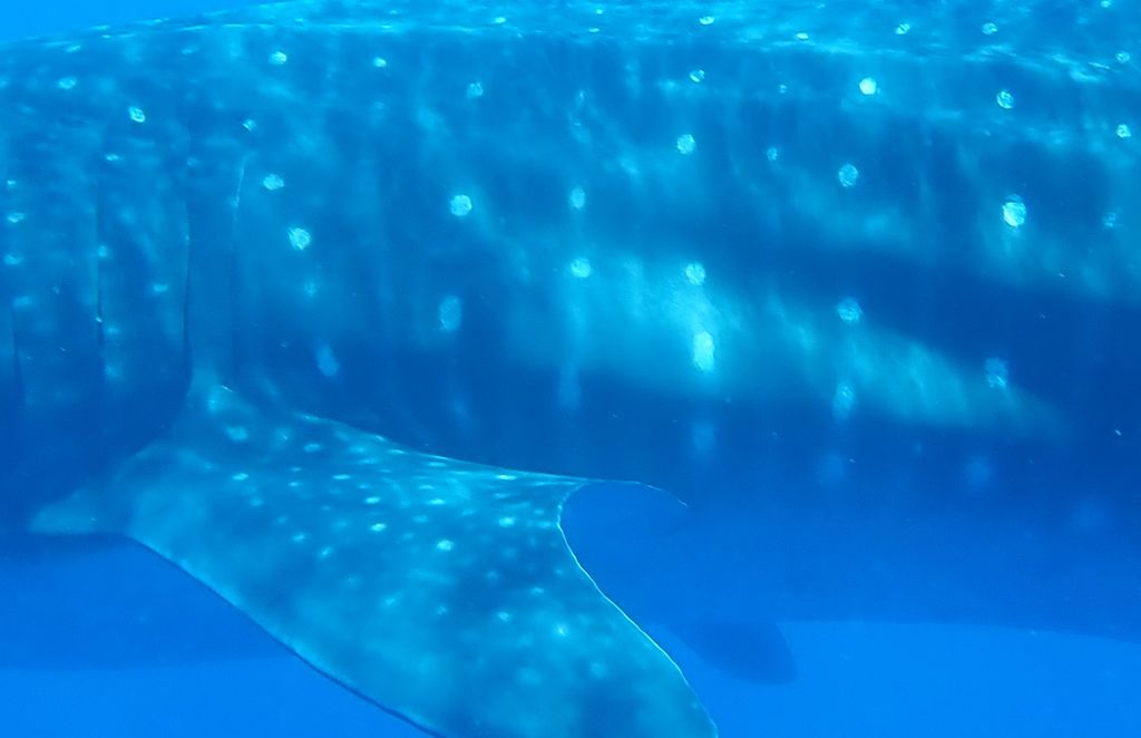 8e944a50-f3a0-471b-8e94-5af1e34d8dc3