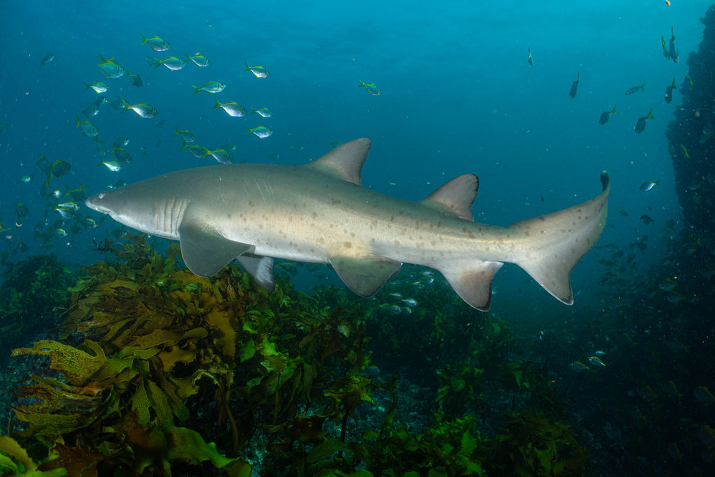 8313ab82-129c-4063-960d-0d3f0d768713