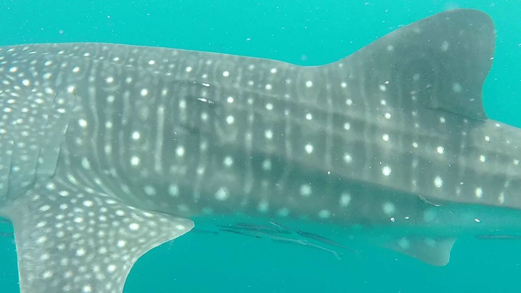 67ebeefd-fb3d-4749-92cc-407e228ee83a