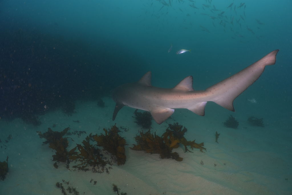 e7b05e60-bc3d-41b8-a988-f6af29337108