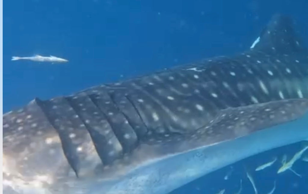 e8066840-de07-4904-9809-236e6dec0579