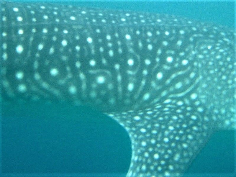 fff47669-6228-4be5-b1a7-dd9b2f22a79a