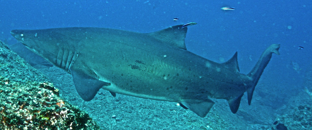 63eb5978-0e62-497d-a990-e3da773dabdf