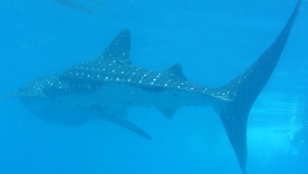 edffbe49-5aa1-43db-9ae9-0ae1f919a875