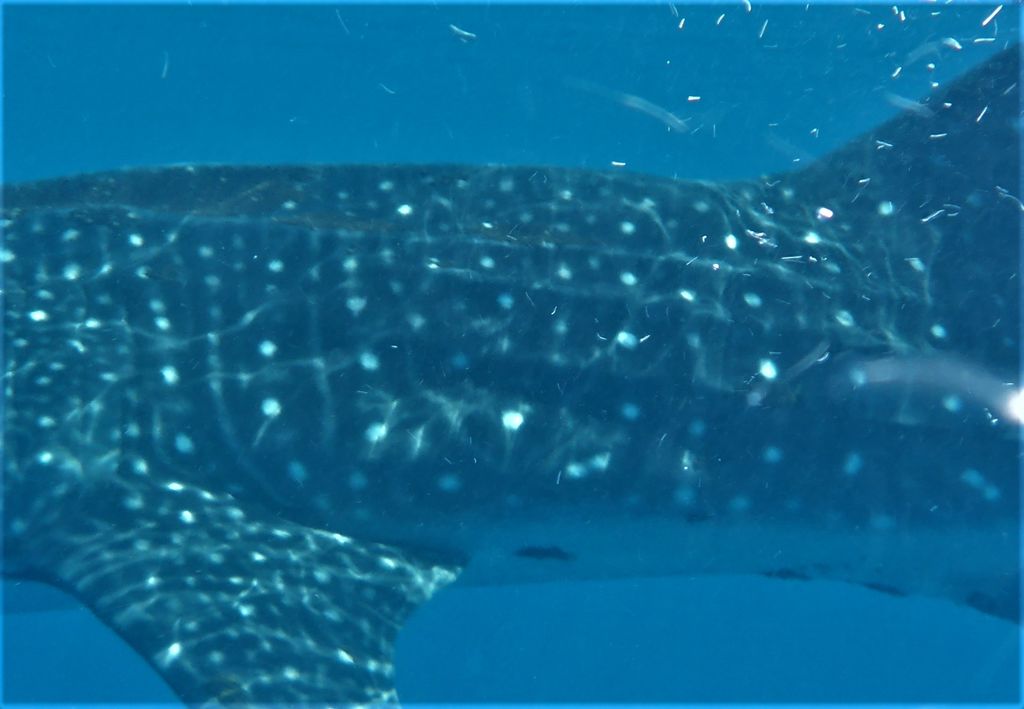 edffbe49-5aa1-43db-9ae9-0ae1f919a875