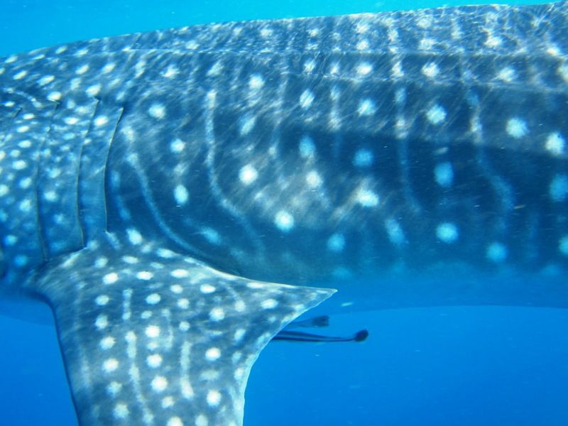 98a8baa7-5ce0-4543-ab81-cf888d6eb37a