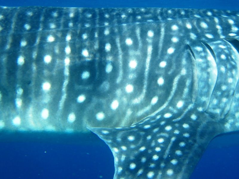 98a8baa7-5ce0-4543-ab81-cf888d6eb37a