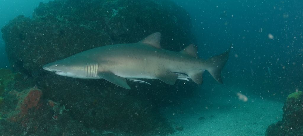 35aa5576-20f1-4ab1-bc65-239ee2ff1092