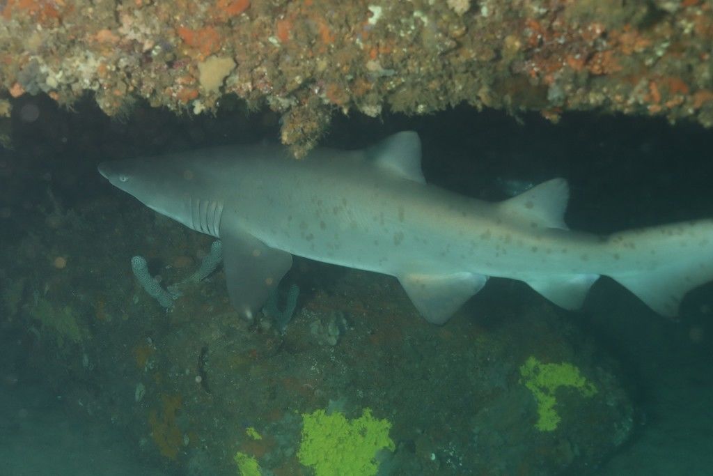 4dd7f654-6330-4fe6-9ea7-0fa788464f57