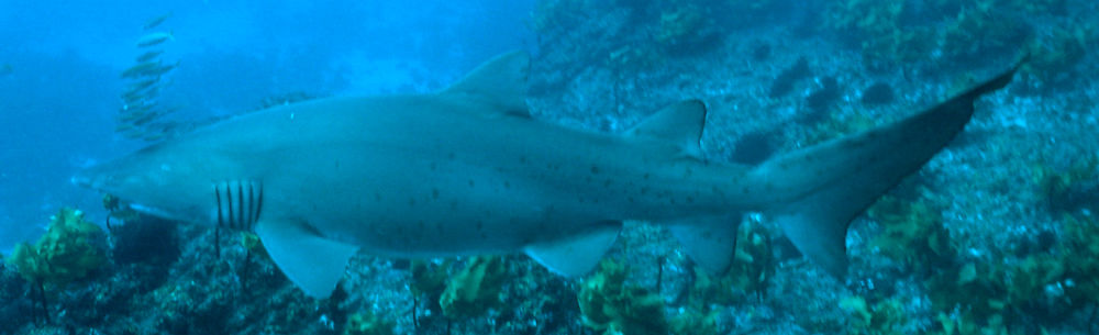 e37d1e9a-82de-40ea-b130-91603f587220