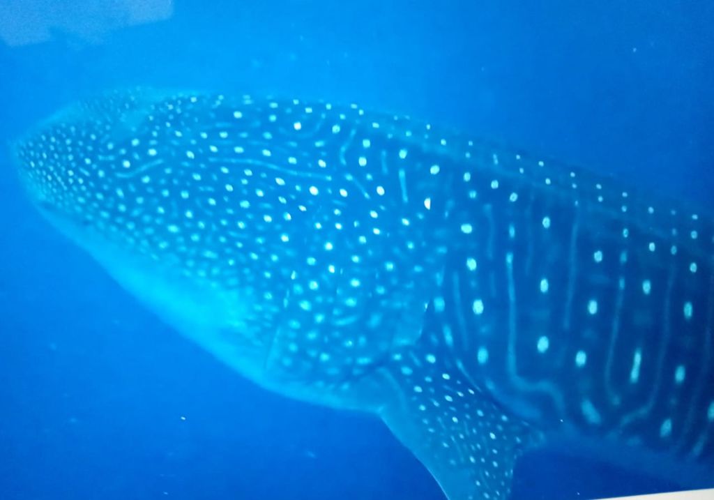 2e288e70-551e-4024-a344-caf3a6ed80cb