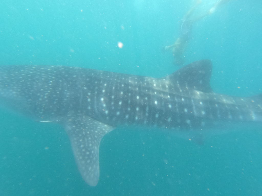 8c86ced8-3880-4e30-818b-4c5b40f6b1e3