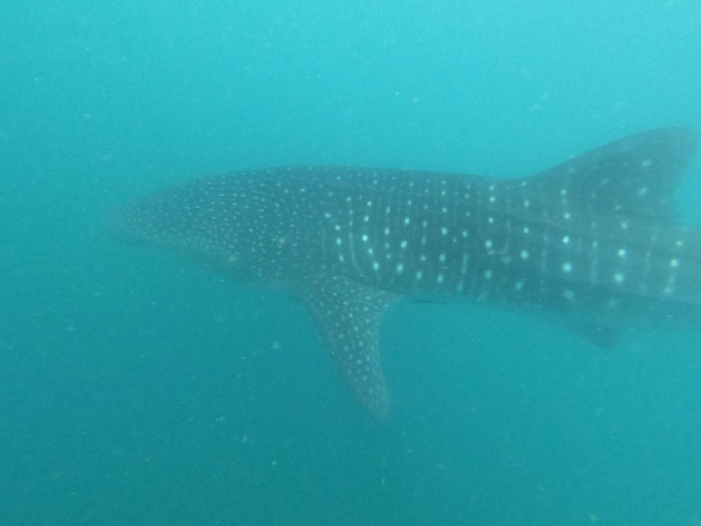 8c86ced8-3880-4e30-818b-4c5b40f6b1e3