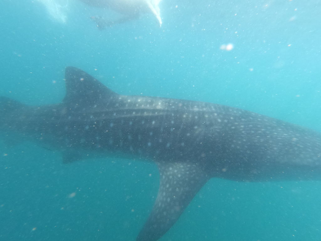 8c86ced8-3880-4e30-818b-4c5b40f6b1e3