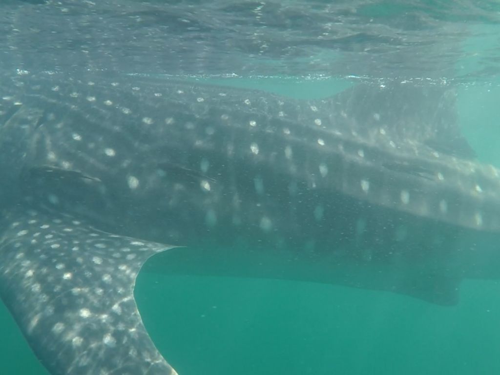 886b2395-9ccc-427e-bc34-c56250544468