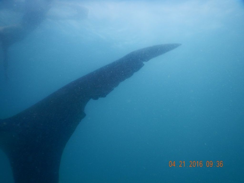 5a65f471-7215-4771-8c9a-373ddeed5c98