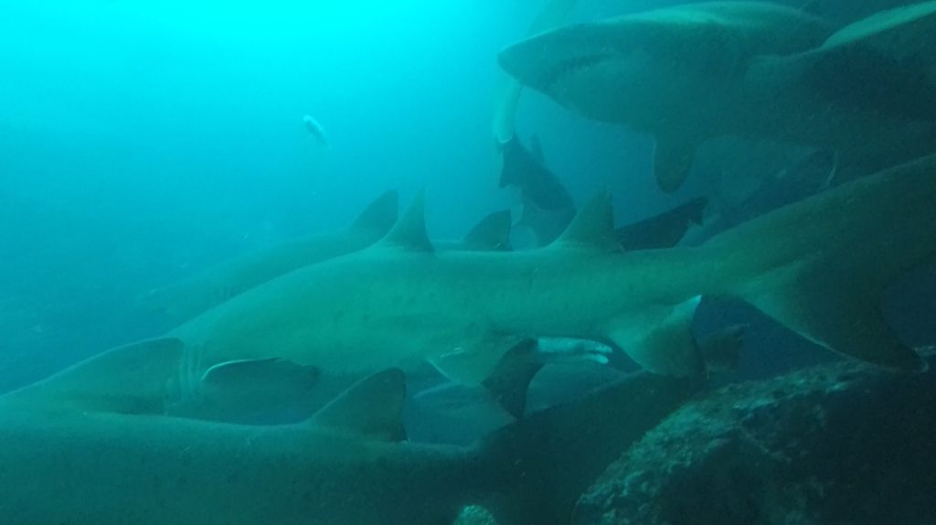 e54b827d-2085-4268-bcf2-eab623344882