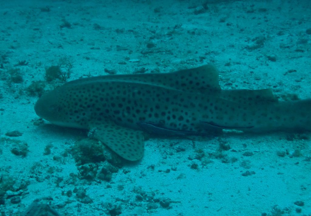 9a7f1c23-76ae-461a-a5fc-0e4d64c42845