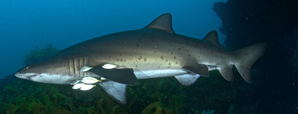 c30cf27d-2321-49ef-9adc-effff7afdc6c