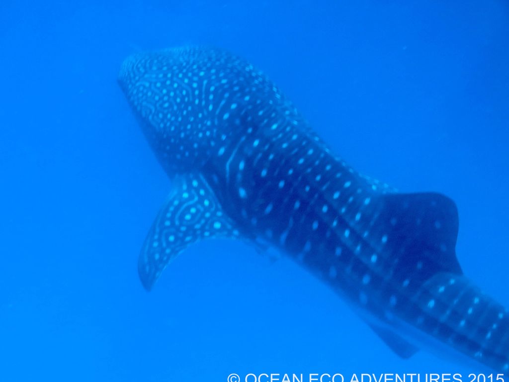 79ae0da9-e043-499a-8cb7-53faf0d94c6c