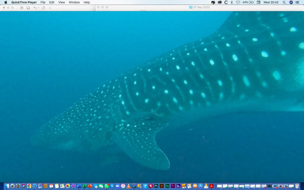 be72749b-c1d8-4a2f-97a8-0a778feb0ff6