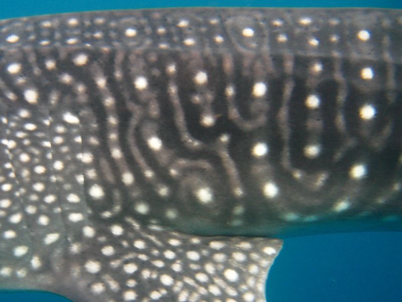 0d3a304c-21f0-4ff7-a816-428f4efdac2e