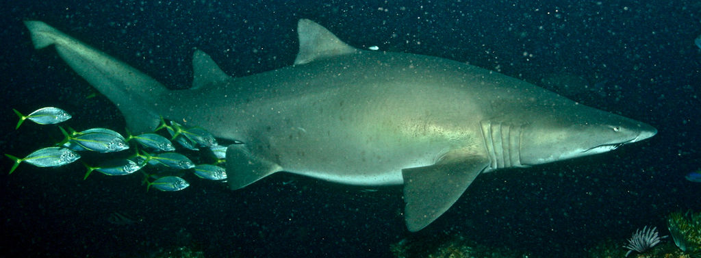 144e37e7-995a-4d18-bab9-d6972befbaae