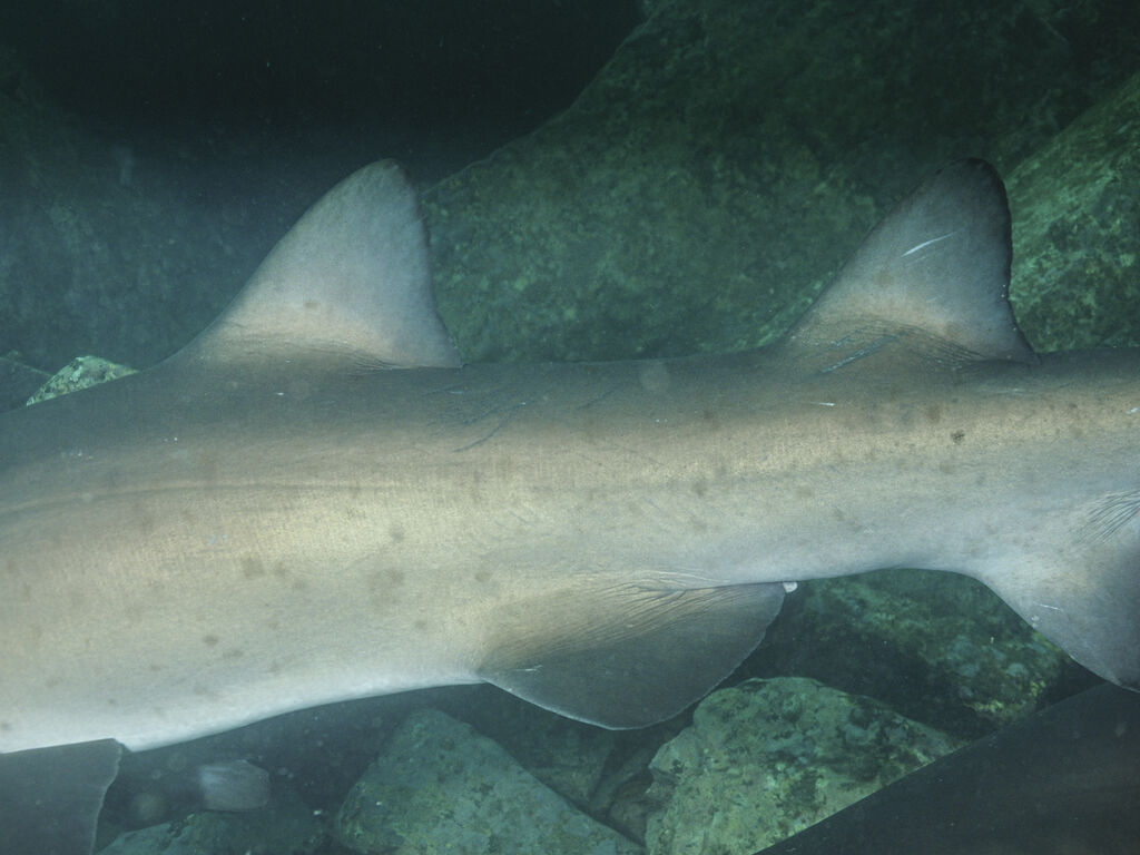 d8cfac16-21fd-4dea-b7cf-90ad1a162959