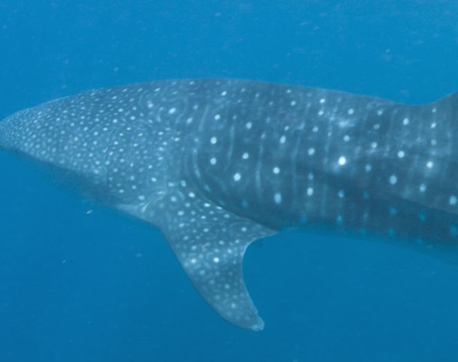 37d9ddf7-461c-45cc-aa5d-c6dd5a7013f6