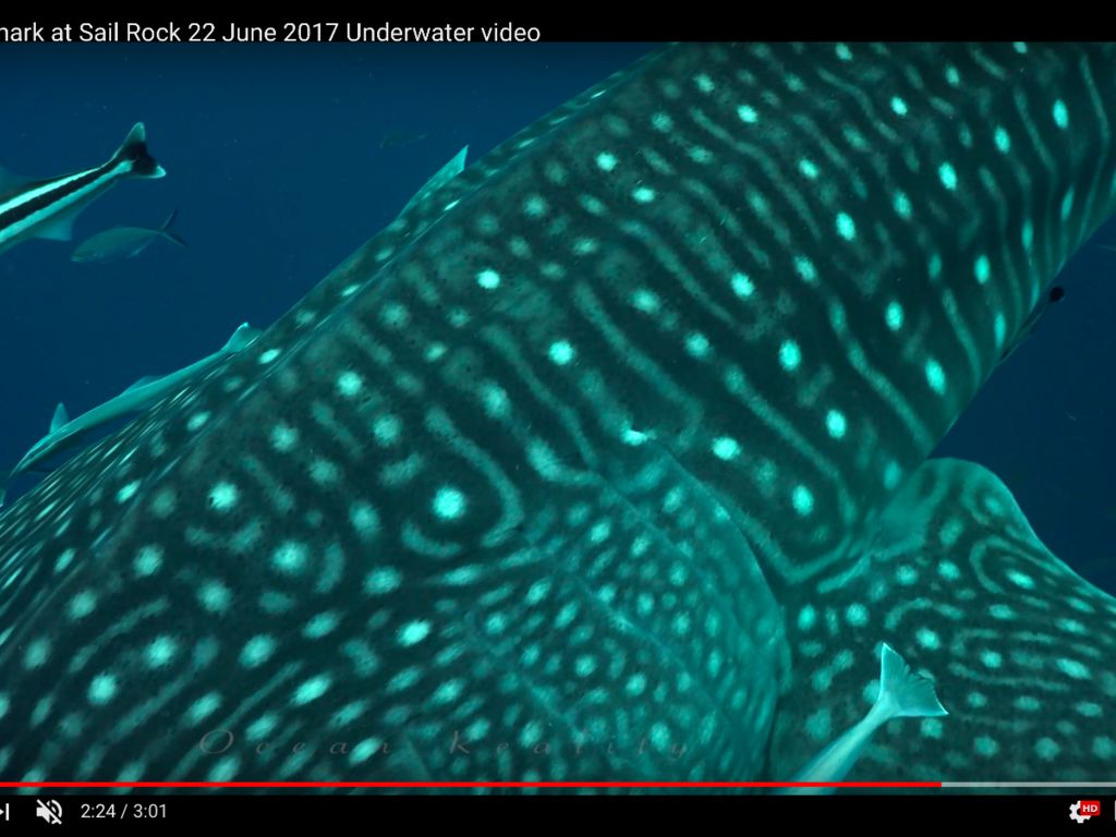 81f0a8ba-470c-478d-b900-6907f89a177b