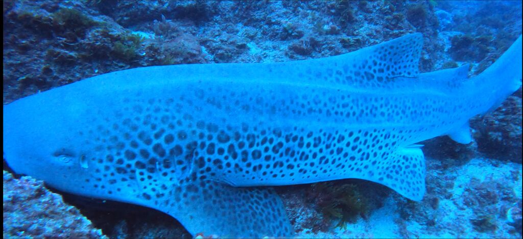 11ac9c92-9de2-450e-ae41-5c5e0ba7c702