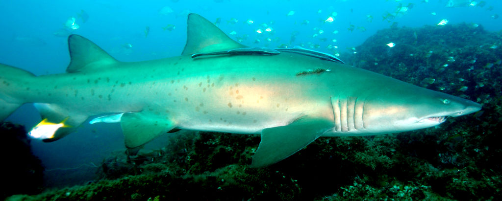 639ac39f-8dbe-495b-afaf-dab4a988696a