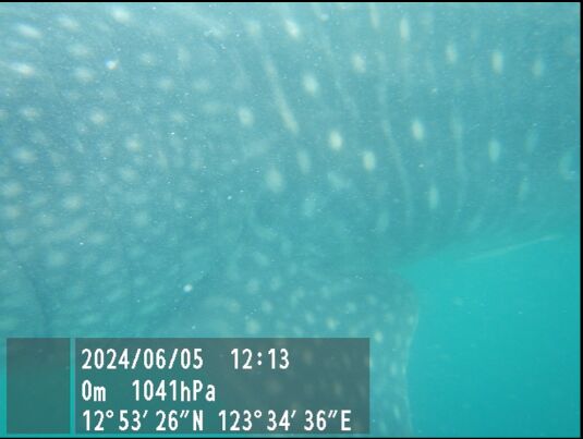 91c9de9c-a9f5-4ec6-9b0d-8214d8f054e2