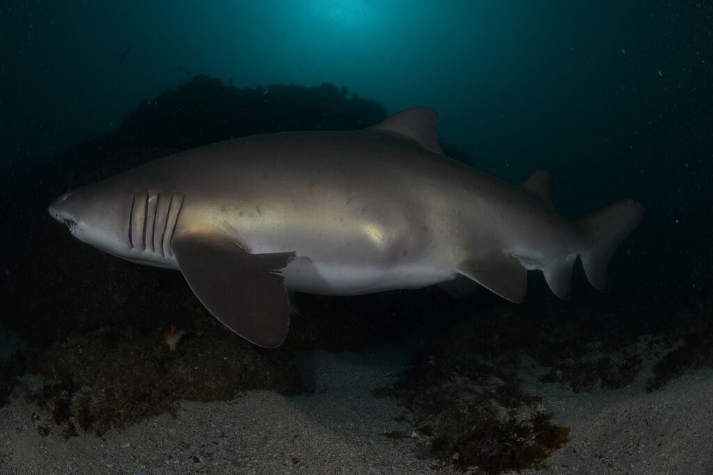 1e640785-6ce6-4ea2-837c-7dc87ed9f21e