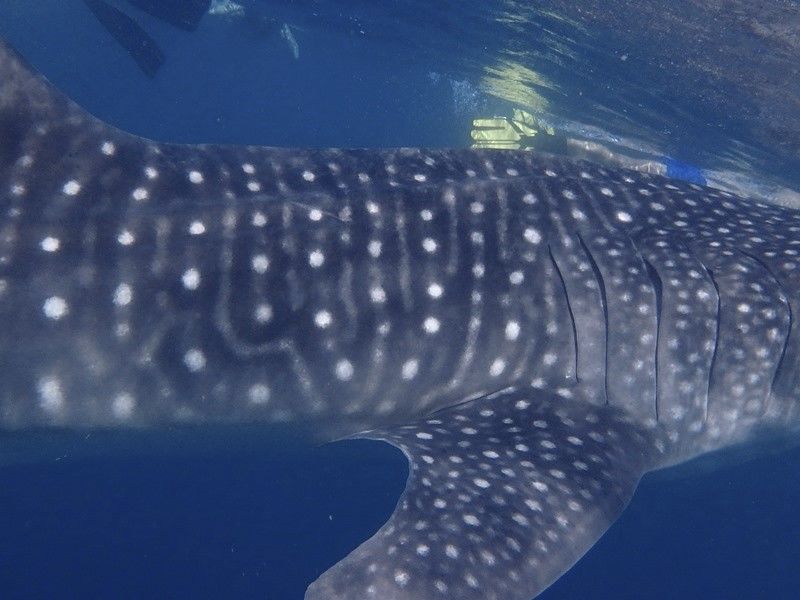 2e168328-30b8-408a-98c7-3a3b61a890f4