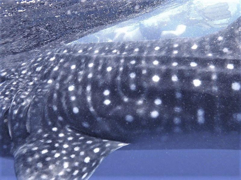 2e168328-30b8-408a-98c7-3a3b61a890f4